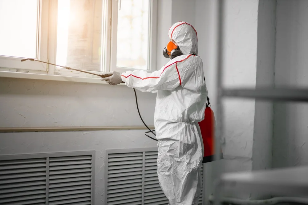 Professional mold remediation services in Windsor, MA